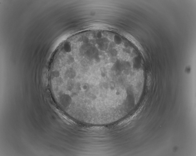 X0000116801067201001291535