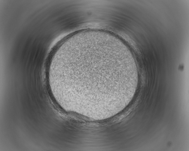 X0000116801070201001291535