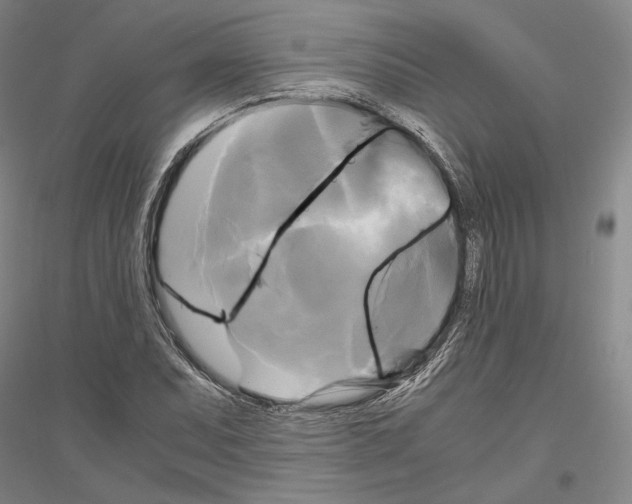 X0000116801071201001291535