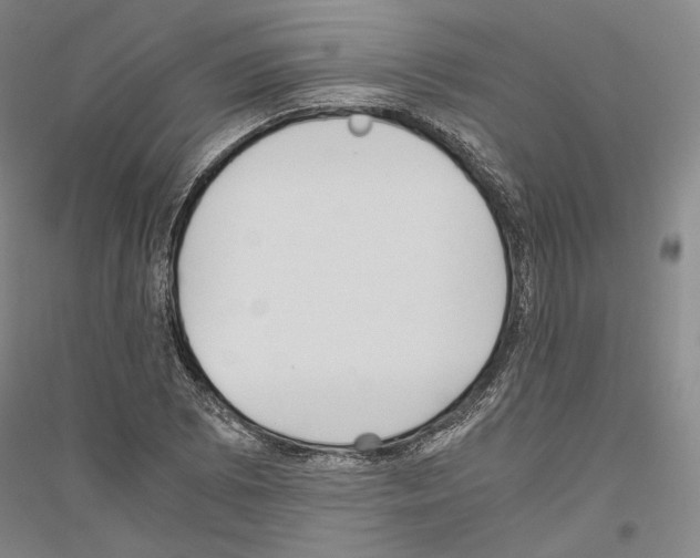 X0000116801073201001291535