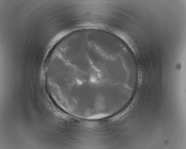 X0000116801074201001291535