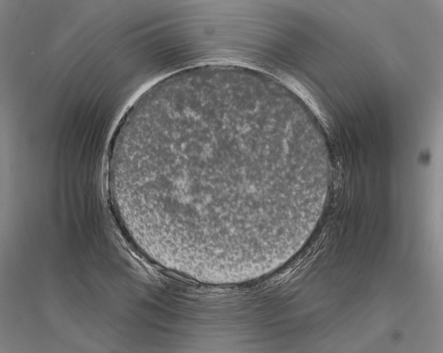 X0000116801076201001291535