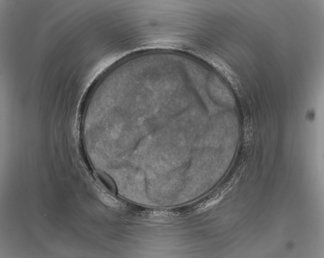 X0000116801077201001291535