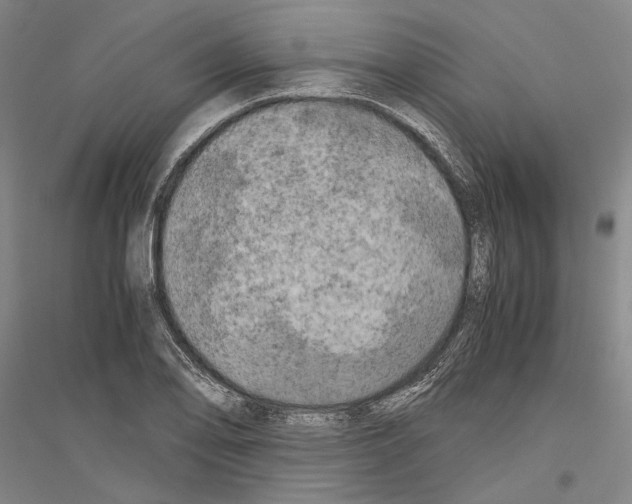 X0000116801078201001291535
