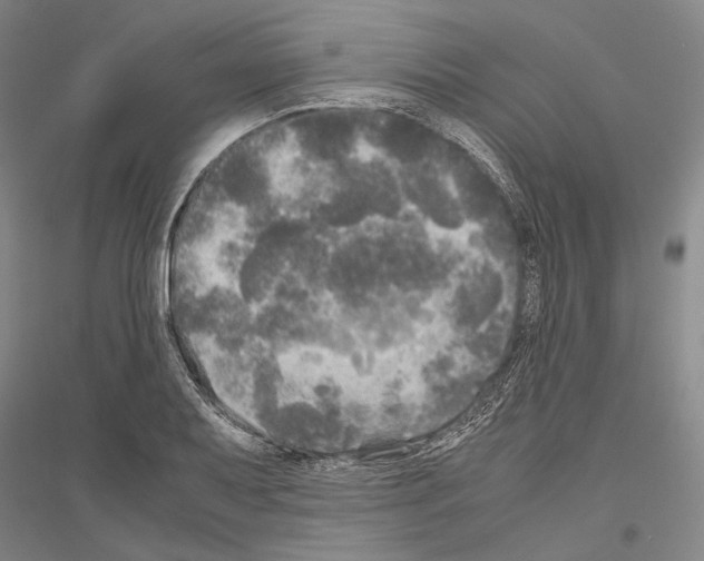 X0000116801079201001291535