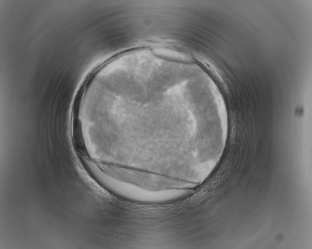 X0000116801080201001291535