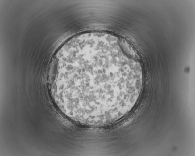 X0000116801081201001291535