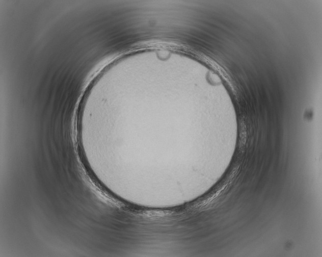 X0000116801082201001291535