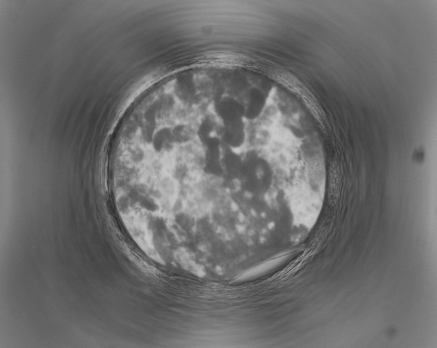 X0000116801083201001291535