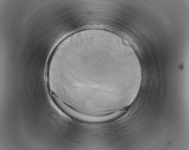 X0000116801084201001291535