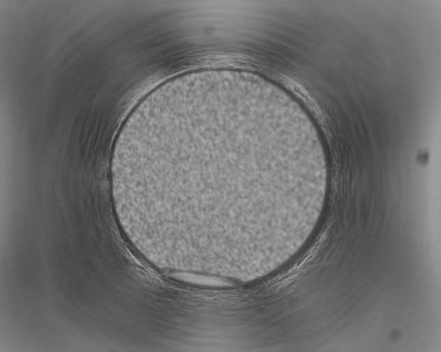 X0000116801089201001291535