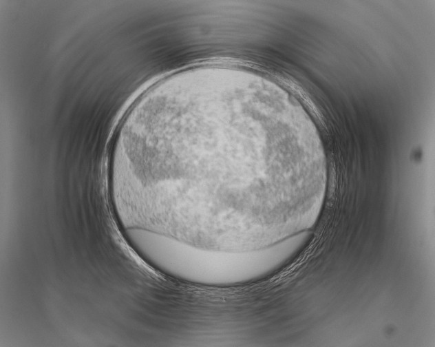 X0000116801092201001291535