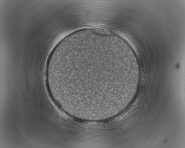 X0000116801093201001291535