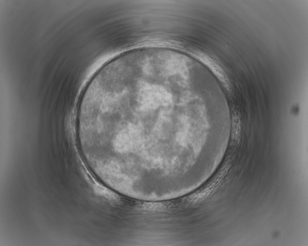 X0000116801094201001291535