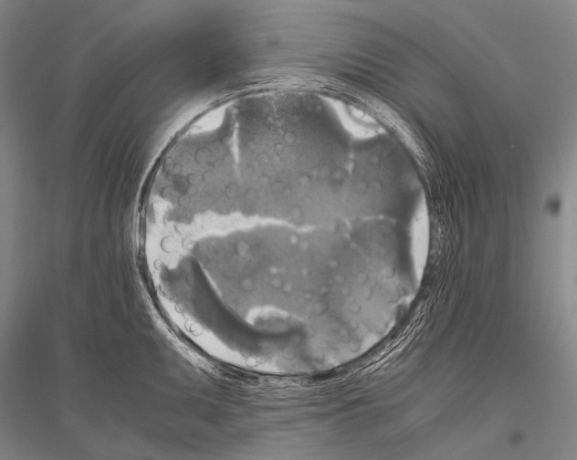 X0000116801095201001291535