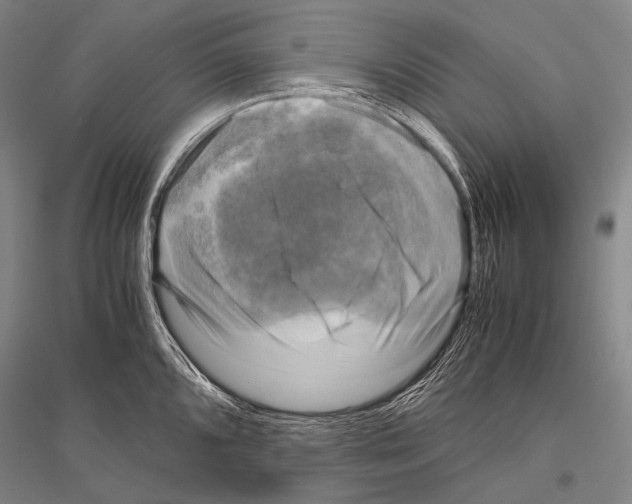 X0000116801096201001291535