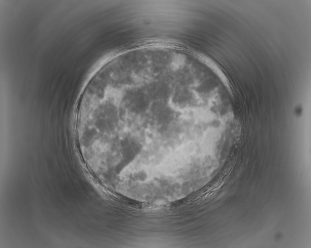 X0000116801099201001291535
