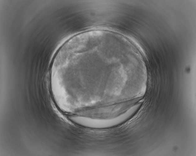 X0000116801100201001291535