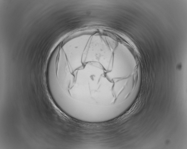 X0000116801101201001291535