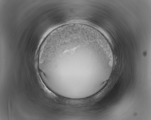X0000116801102201001291535