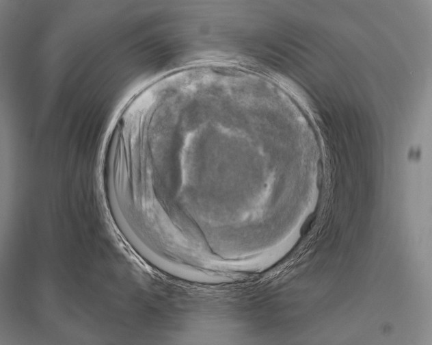 X0000116801104201001291535