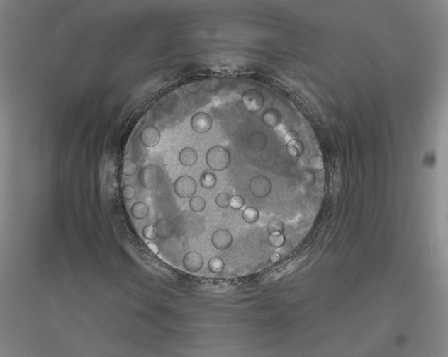 X0000116801106201001291534