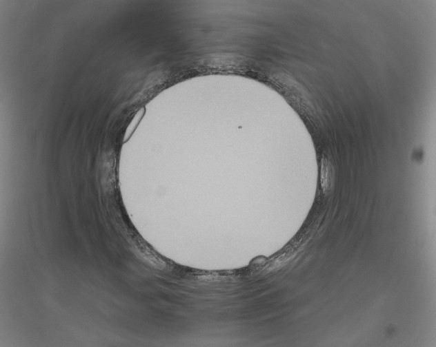 X0000116801107201001291534