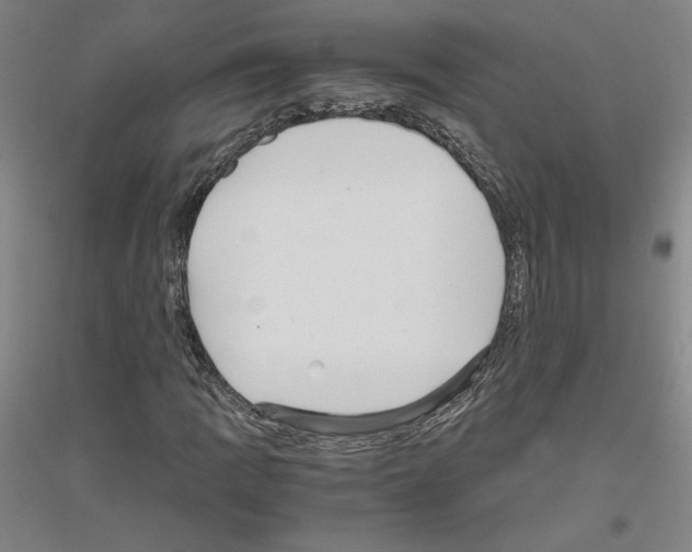 X0000116801109201001291534