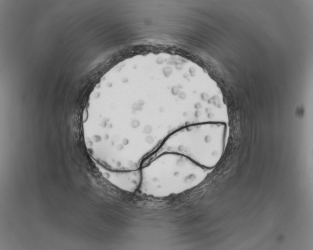 X0000116801110201001291534