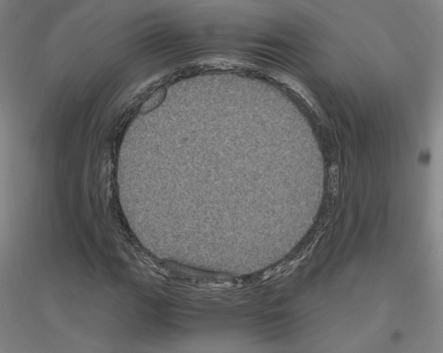 X0000116801111201001291534