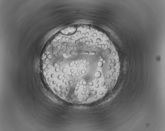 X0000116801113201001291534