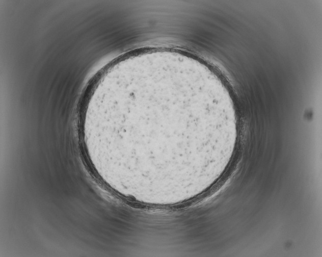 X0000116801114201001291534