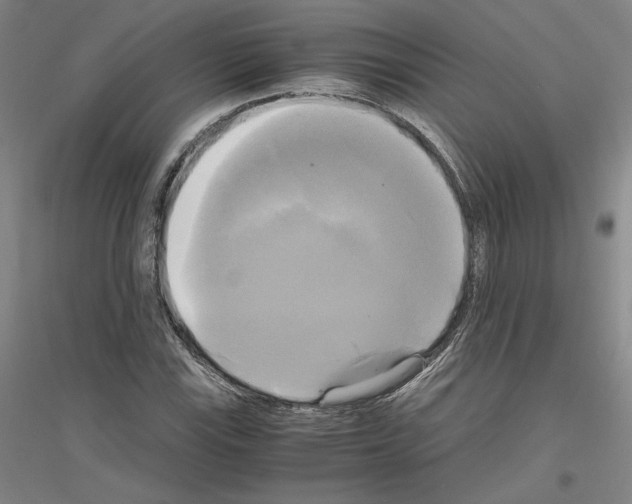X0000116801115201001291534