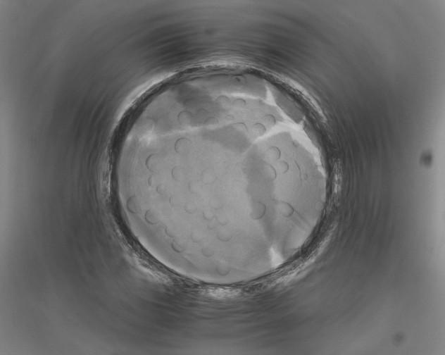 X0000116801117201001291534