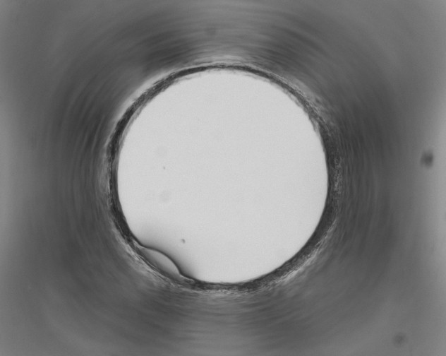 X0000116801118201001291534