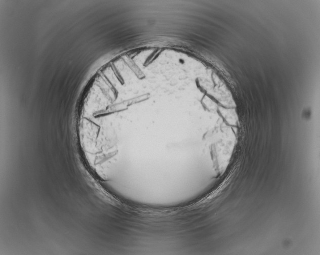 X0000116801122201001291534