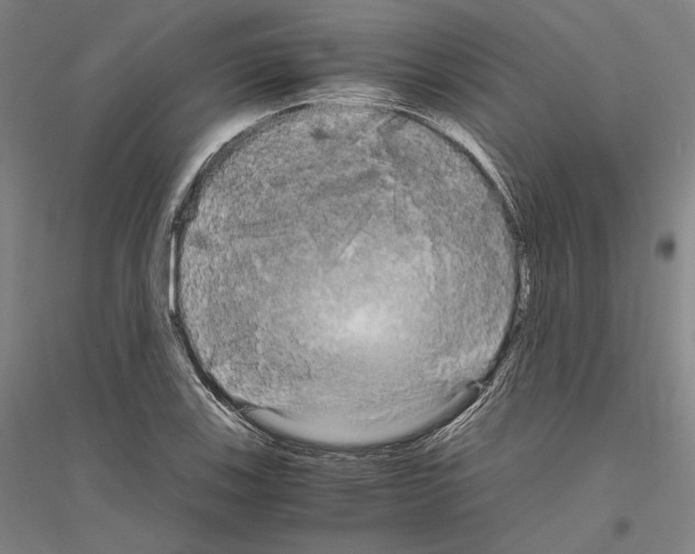 X0000116801123201001291534