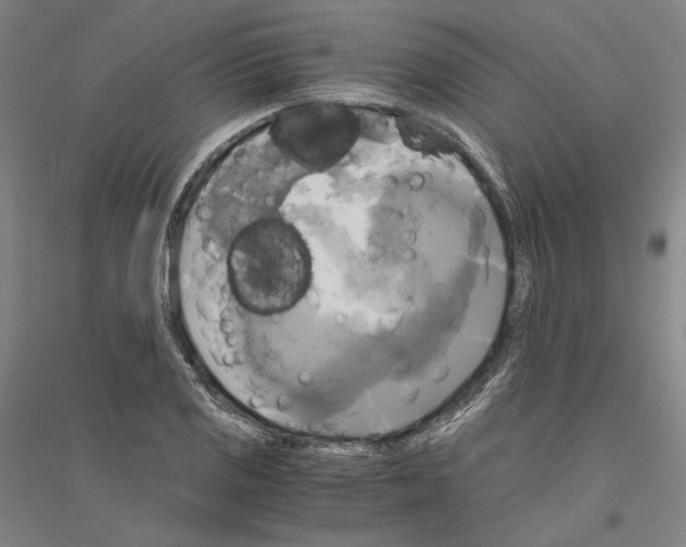 X0000116801125201001291534