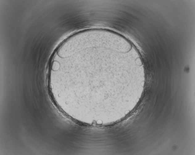 X0000116801126201001291534