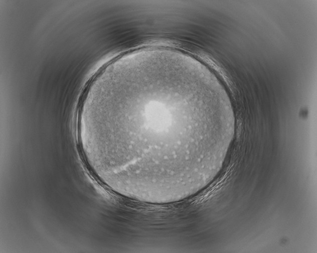 X0000116801127201001291534