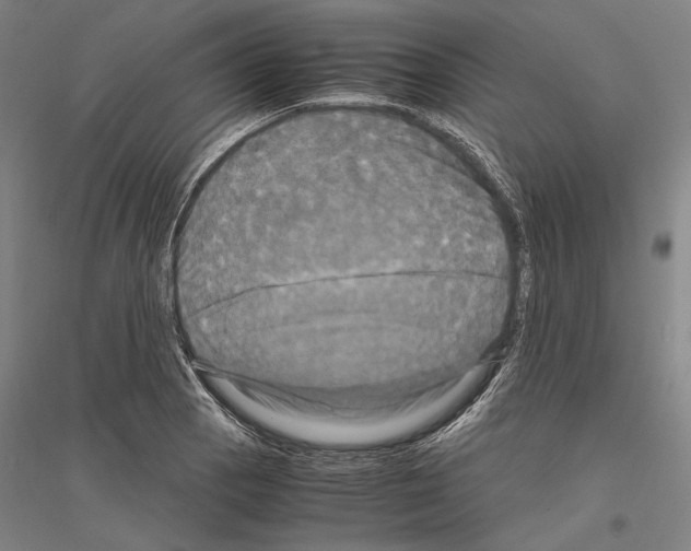 X0000116801129201001291534
