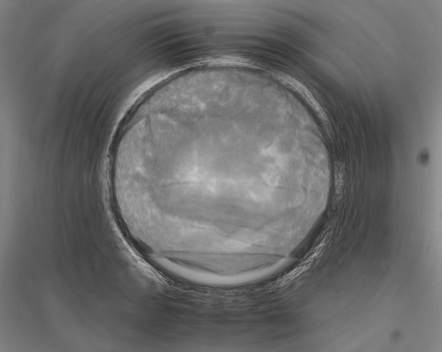 X0000116801133201001291534