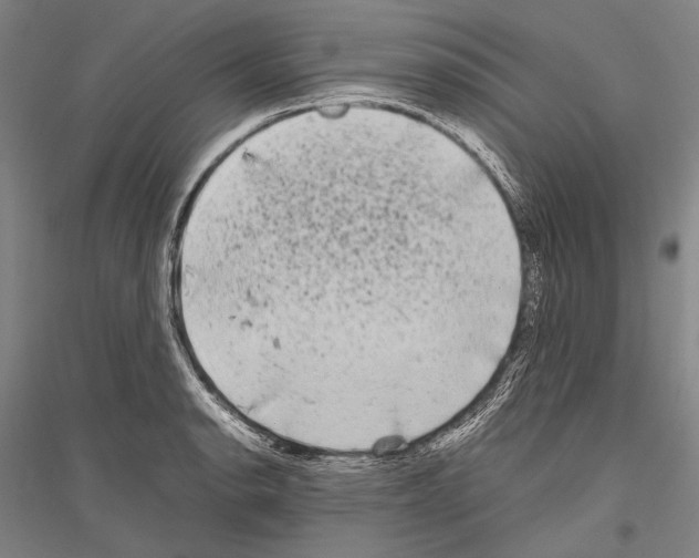 X0000116801134201001291534