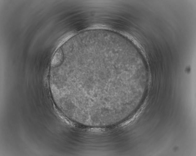 X0000116801137201001291534