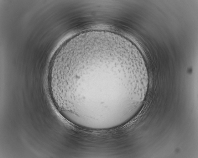 X0000116801139201001291534