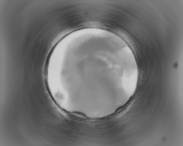 X0000116801141201001291534
