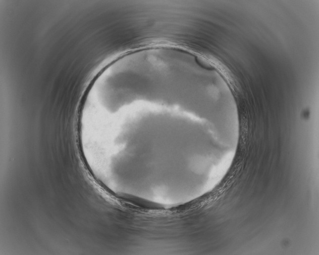 X0000116801142201001291534