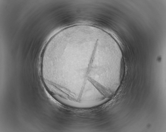 X0000116801143201001291534