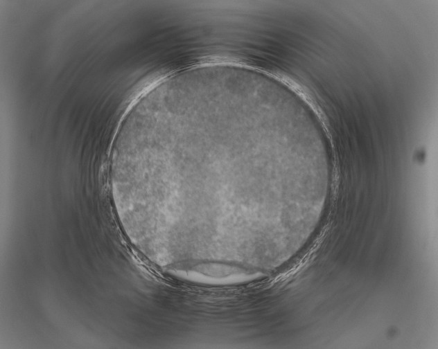 X0000116801145201001291534