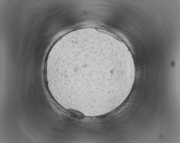 X0000116801146201001291534